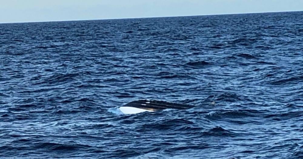 Haitian girl, suspected migrant smuggler missing off Florida coast