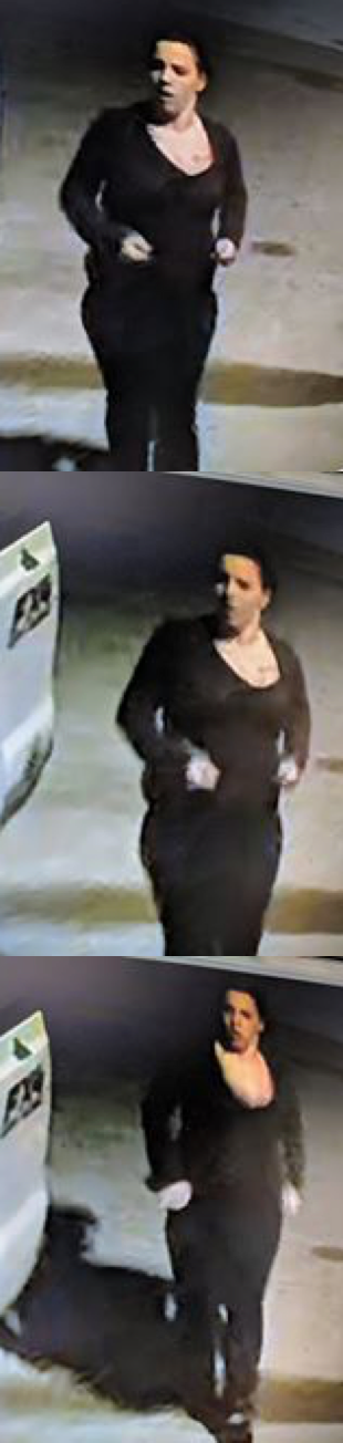 pickup truck theft suspect (surveillance)