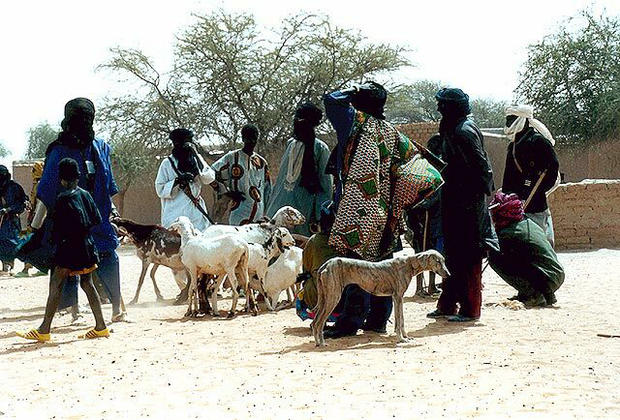 Azawakh with Tuareg 