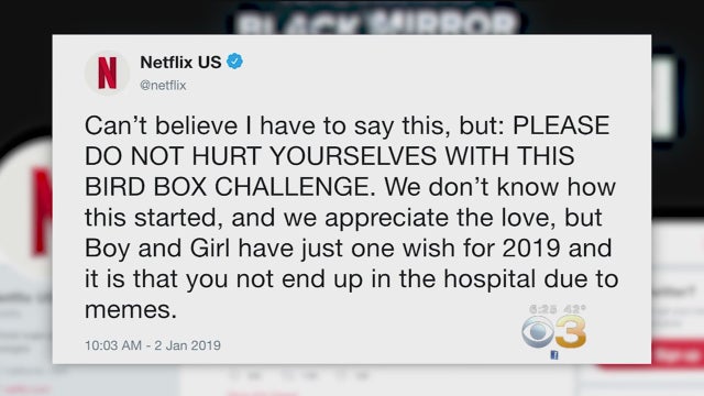 Netflix-warning-bird-box.jpg 