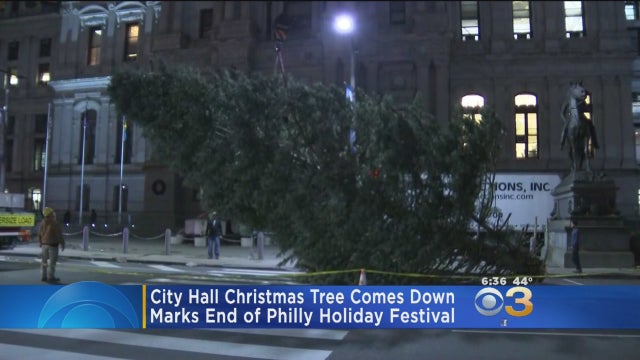 city-hall-christmas-tree.jpg 