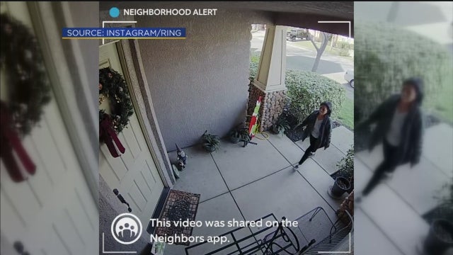 mistaken-porch-pirate.jpg 