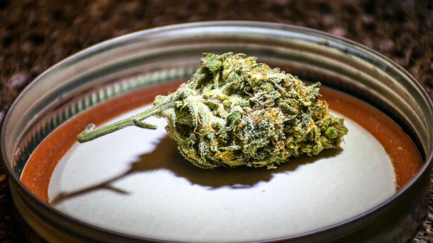marijuana legalization colorado pot generic 