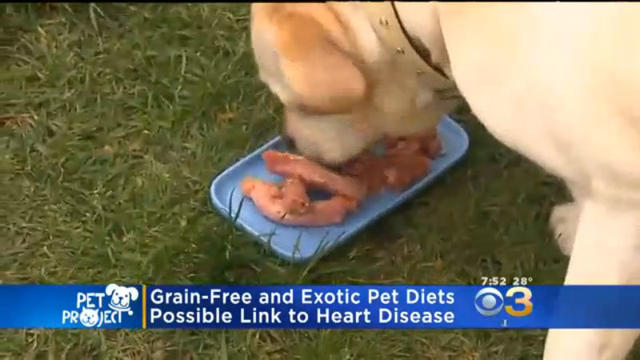 pet-project-grain-free-food.jpg 