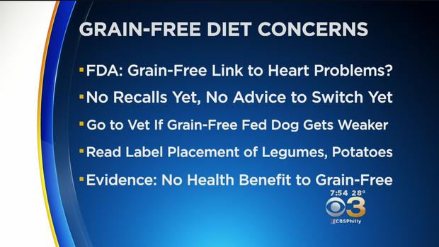 grain free dog food 