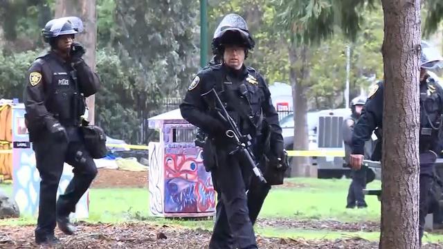 berkeley-tree-protest-kpix.jpg 