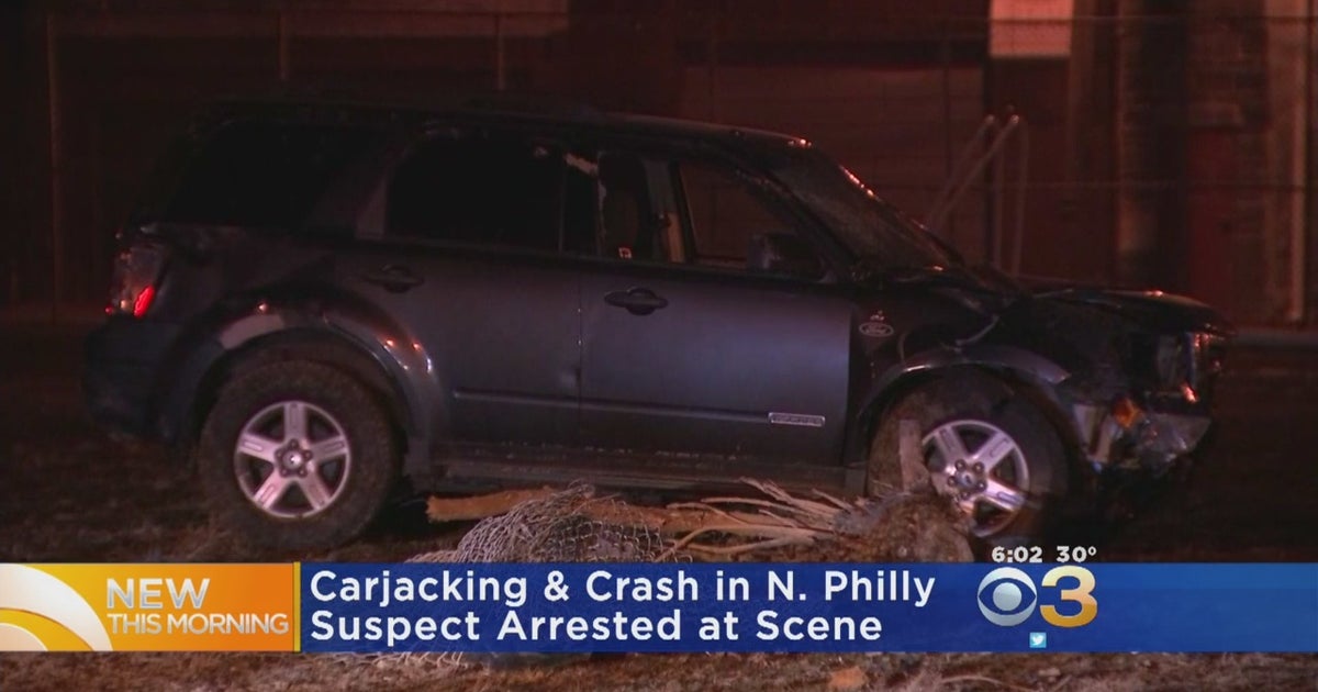 Carjacking Suspect Arrested After Crashing Stolen Car In North ...