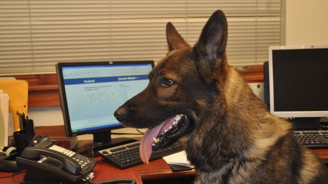 0117pup.jpg 