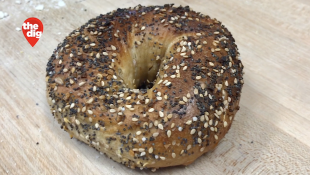 Everything Bagel at Shelsky's Brooklyn Bagels 