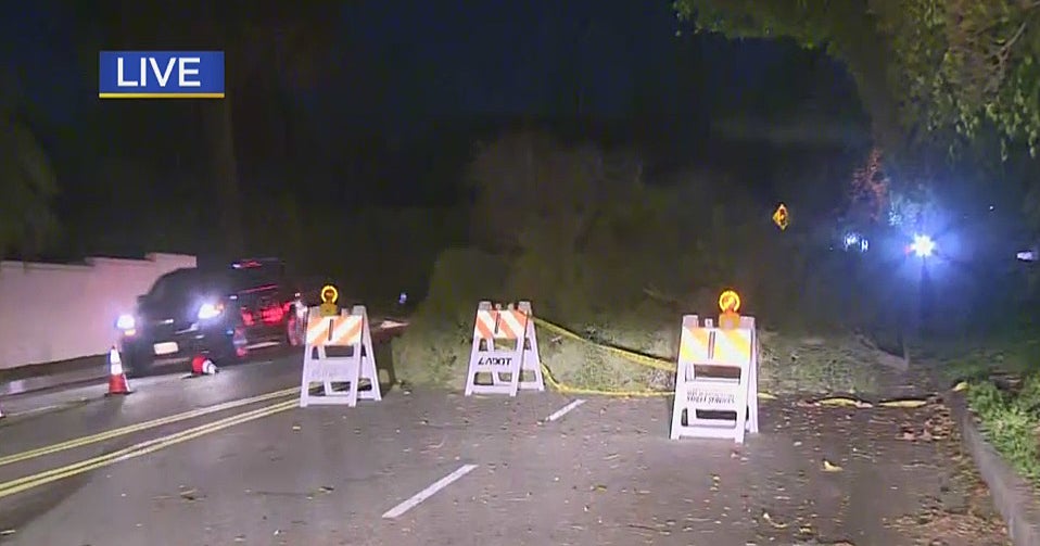 Wind Gusts Bring Down Trees All Over Los Angeles - CBS Los Angeles