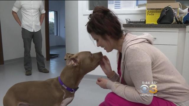 female-veterinarian.jpg 