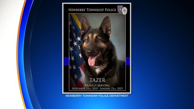 tazer-newberry-township-police.jpg 
