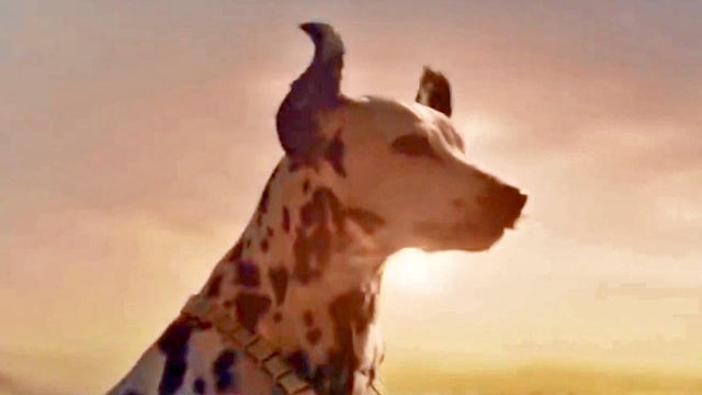 phoebe-dalmation.jpg 