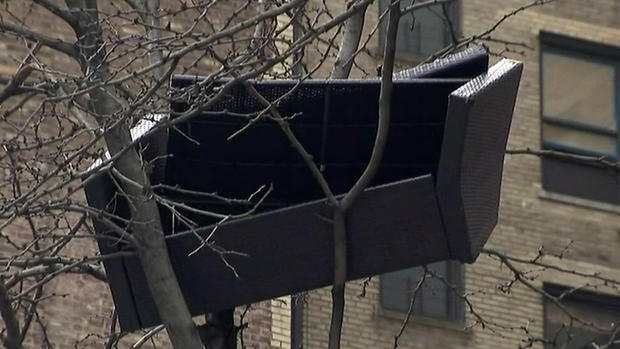 Couch In Tree 