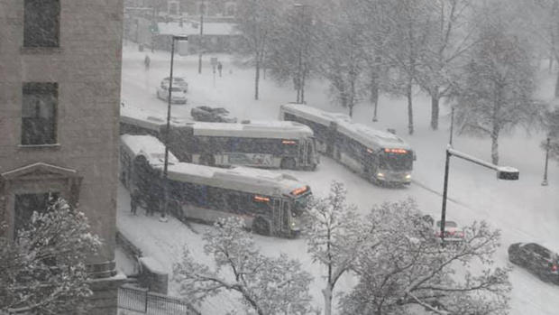 buses in snow 