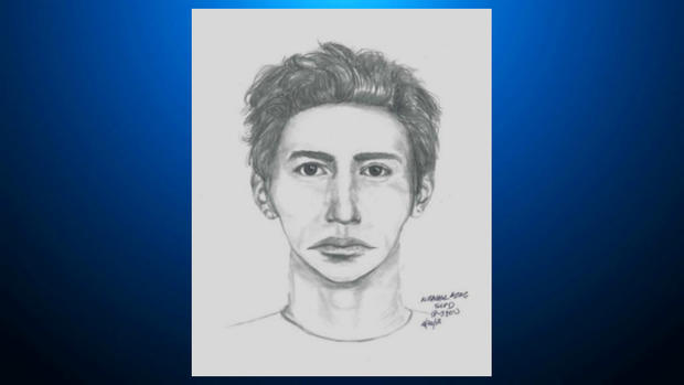 suspect sketch in south bay sexual assaults 