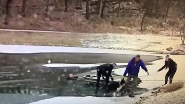 man-dog-pulled-from-pond.png 