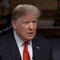 Trump would have a "hard time" letting son play football