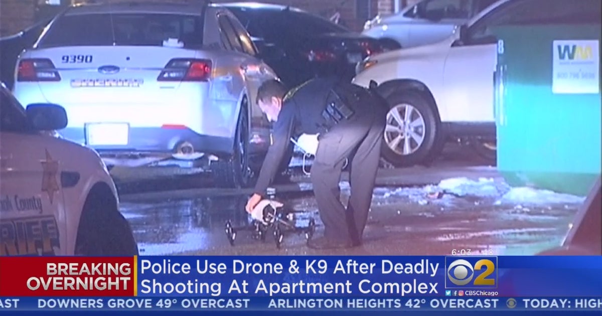 Man Fatally Shot In Northbrook Apartment Complex CBS Chicago