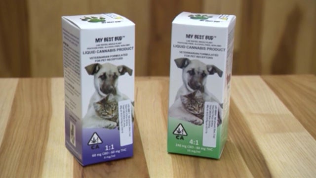 hemp-oil-for-pets_1.jpg 