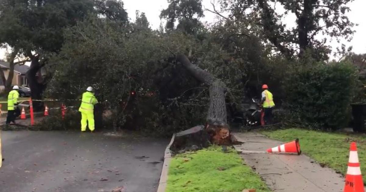 Mudslides Downed Trees As Heavy Rains Continue To Pummel Southland