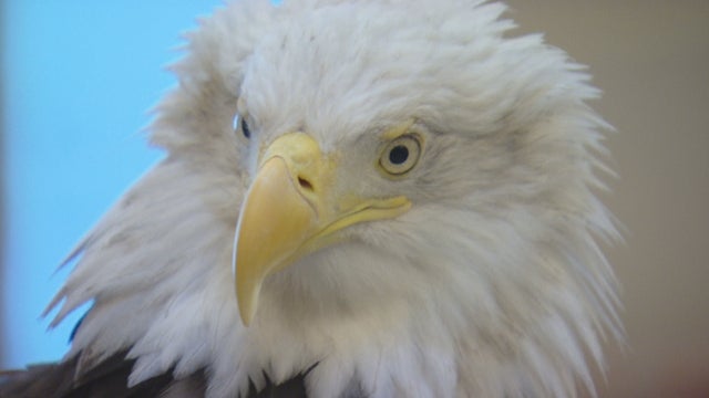 SCFD DAY AT XGR 12VO2_frame_1528