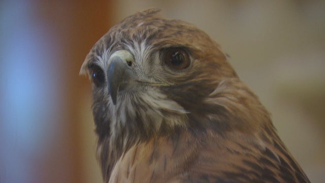 SCFD DAY AT XGR 12VO2_frame_2198