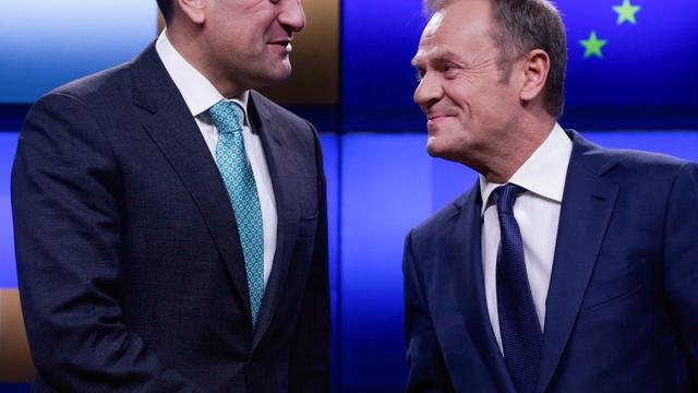 Donald Tusk shakes hands with Irish Prime Minister, Leo Varadkar 