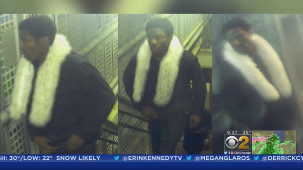 Chicago Police Seek Brown Line Robber 