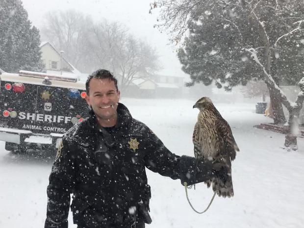 cop with hawk 