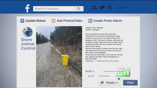 cape-may-dog-in-trash.jpg 