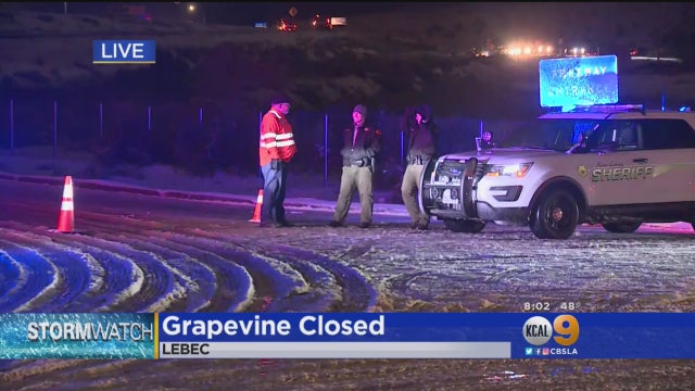 grapevine-closed.jpg 