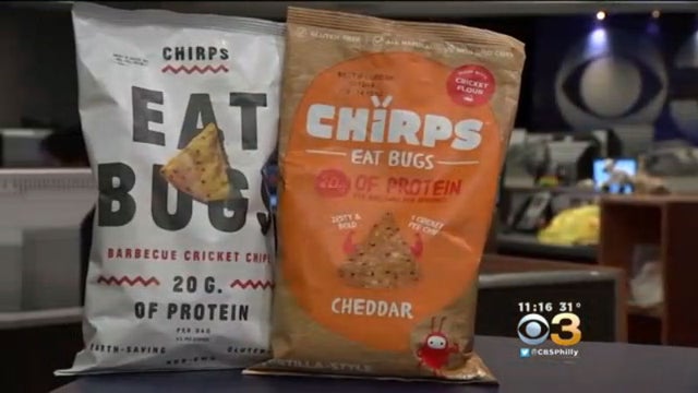 CD5D2E3644904E108881DF77C3EF7660 