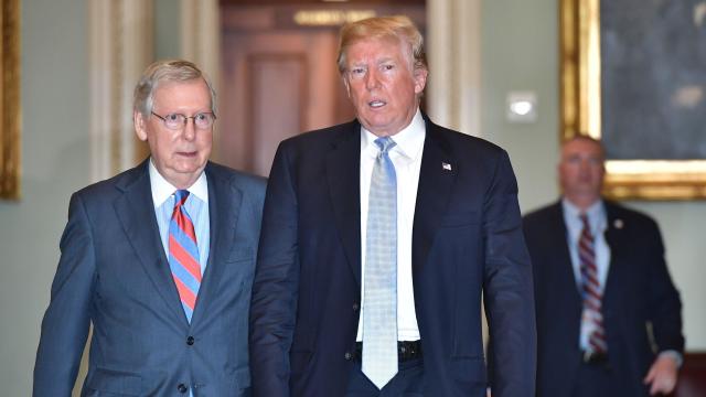 Donald Trump, Mitch McConnell 