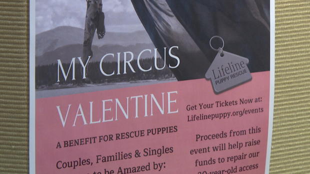 VDAY RESCUE PUPS VO_frame_150 