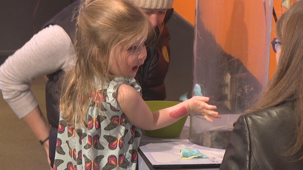 WINTER BUTTERFLY PAVILION.transfer_frame_41