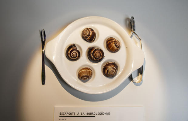 french-snails.jpg 
