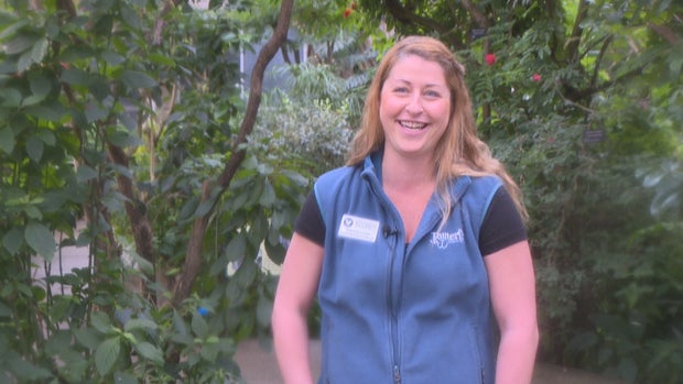 WINTER BUTTERFLY PAVILION.transfer_frame_881