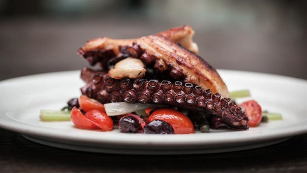 Octopus Dish_2 