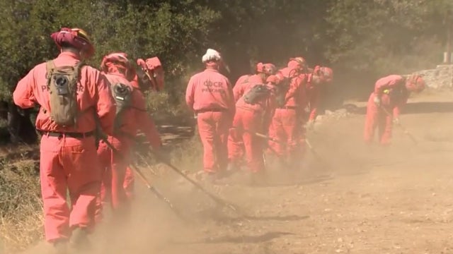 firefighting-felons.jpg 