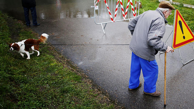 elderly-dog-walker.jpg 