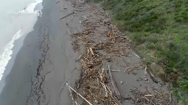 sonoma-count-coast-debris-from-russian-river.jpg 