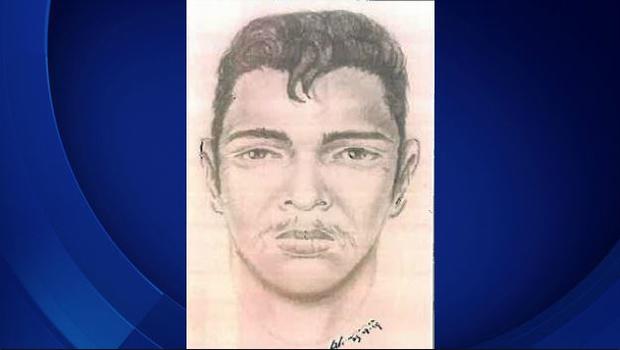 Hunt On For Suspect Who Violently Raped Woman In Her San Pedro Home 