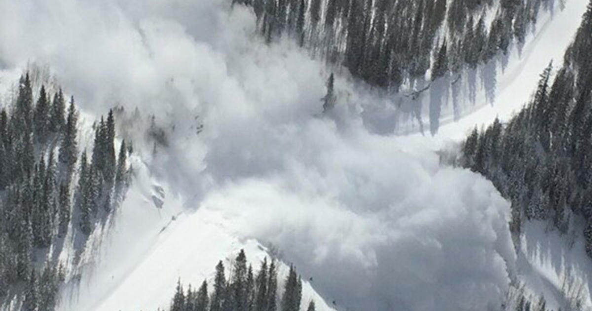 Avalanche Mitigation Brings 60 Feet Of Snow & Debris, Closes U.S. 550 ...