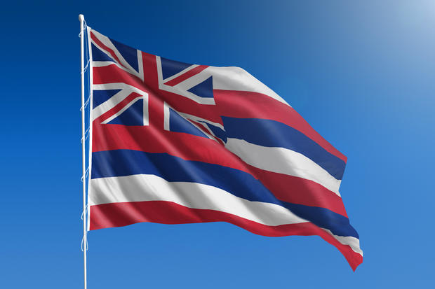 US state flag of Hawaii 