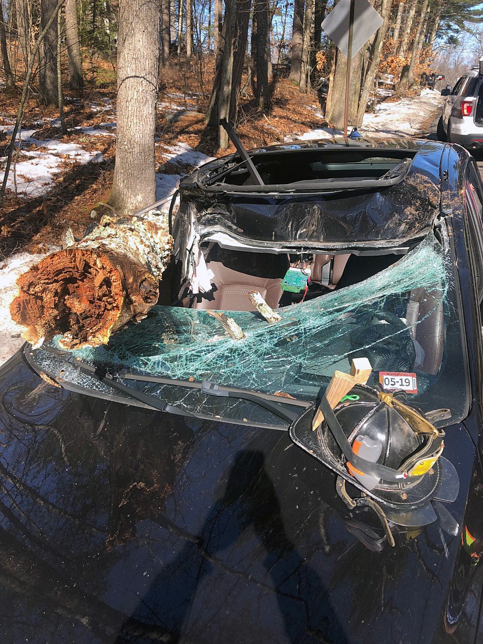 Driver Injured After Tree Crushes Car In Derry, NH - CBS Boston