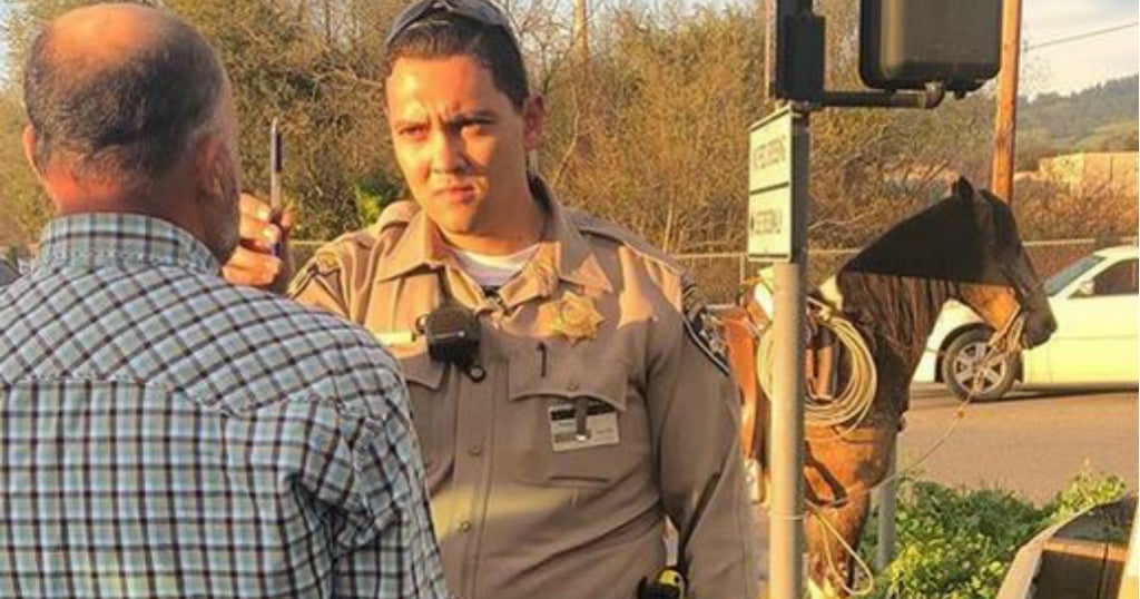 Man Suspected Of Riding Horse While Intoxicated In Santa Cruz County