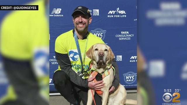 blind-man-runs-nyc-half-marathon-with-guide-dogs.jpg 