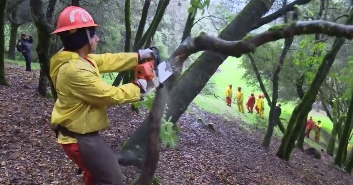 20M In Fire Prevention Grants Issued To Bay Area Agencies; Largest