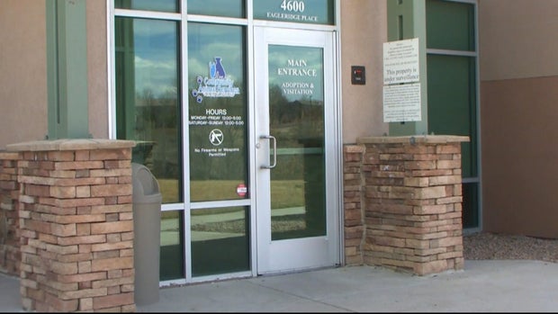 PUEBLO ANIMAL SHELTER 12VO.transfer_frame_205